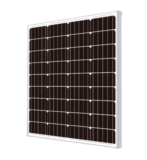 Aslan 100W