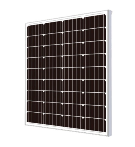 Aslan 100W